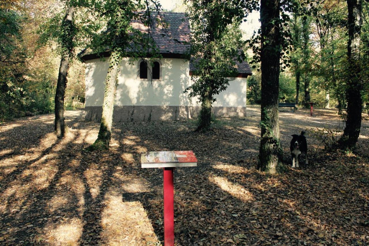 Gites D'Illfurth Luaran gambar