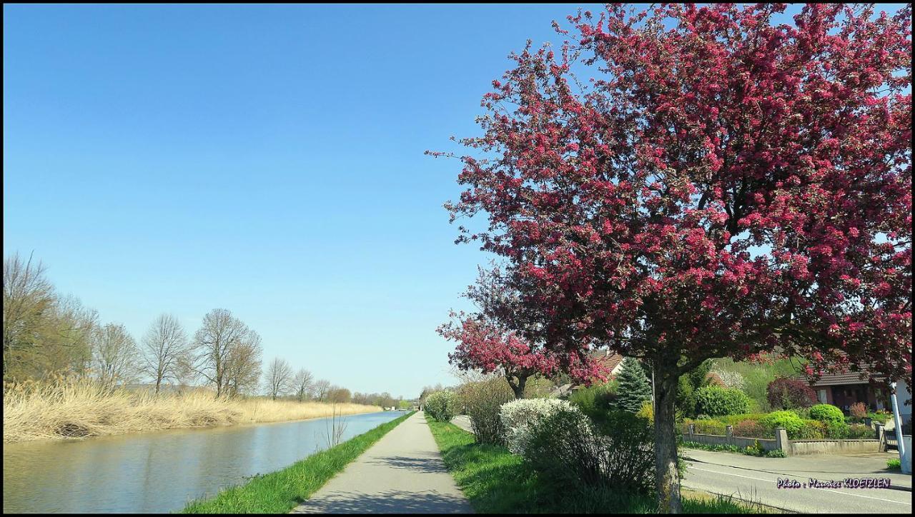 Gites D'Illfurth Luaran gambar